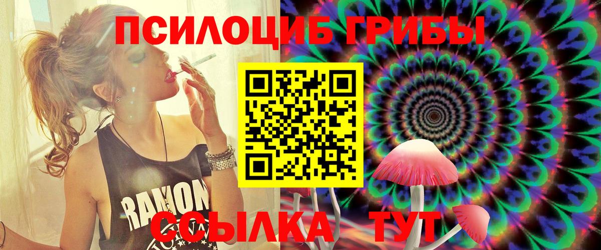 Галлюциногенные грибы Psilocybine cubensis Дмитров