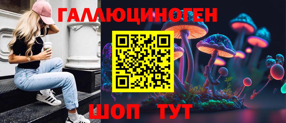 Дмитров  Галлюциногенные грибы GOLDEN TEACHER  Вход с VPN 