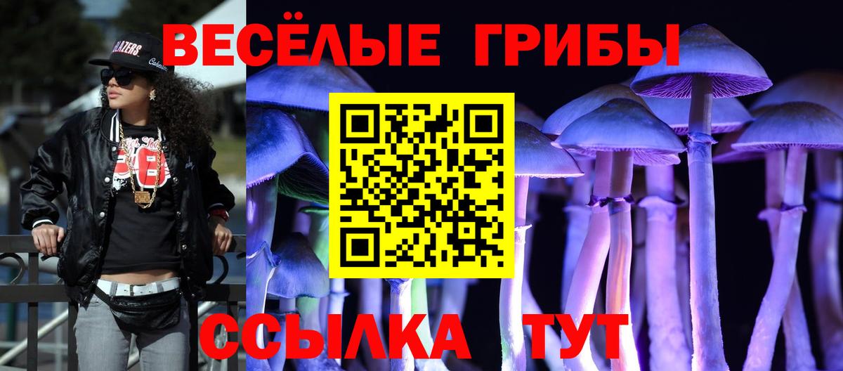 Кодеин Дмитров